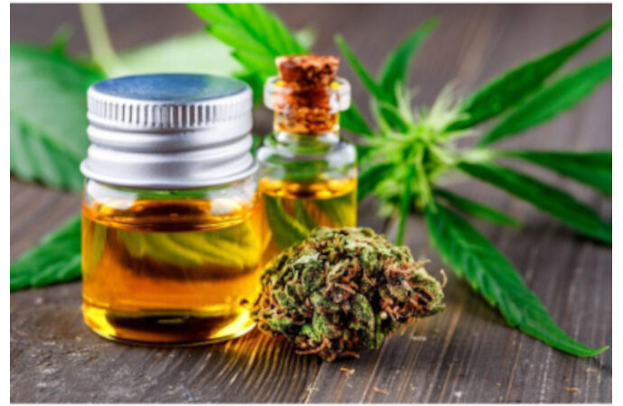 Cannabidiol CBD Market 1